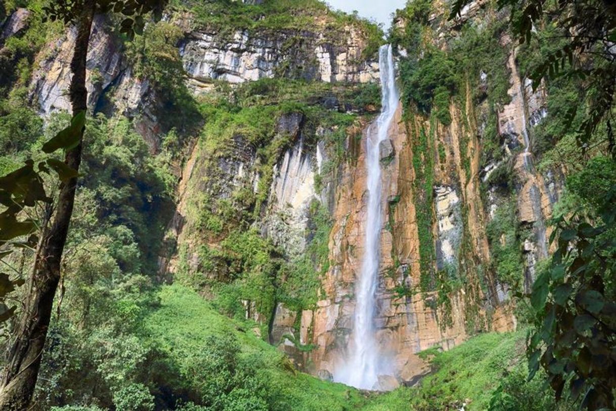 Place Catarata Yumbilla