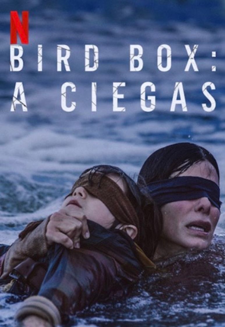 Película Bird Box | Netflix Official Site