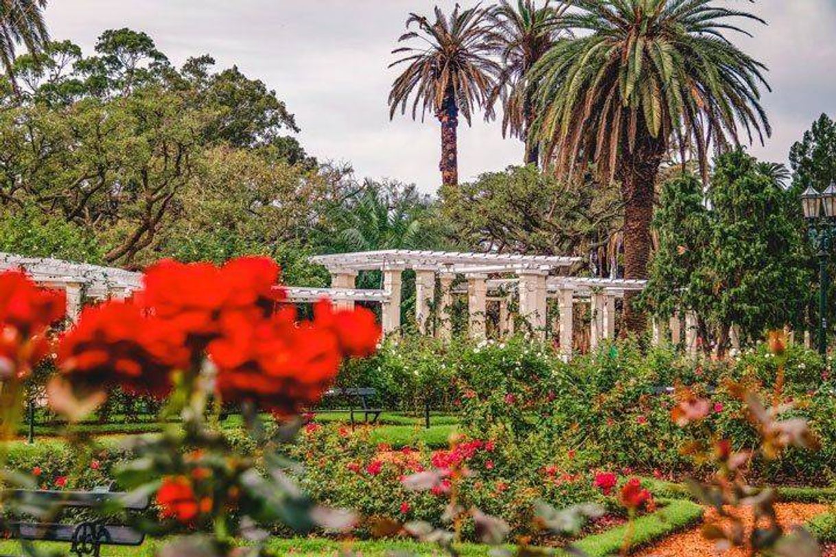 Lugar El Rosedal de Palermo