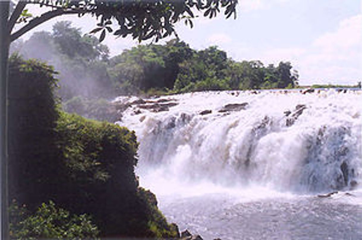 Lugar A el Parque la Llovizna