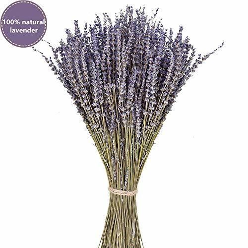 PTVwire Ramos de Lavanda secas 100% Natural para decoración del hogar