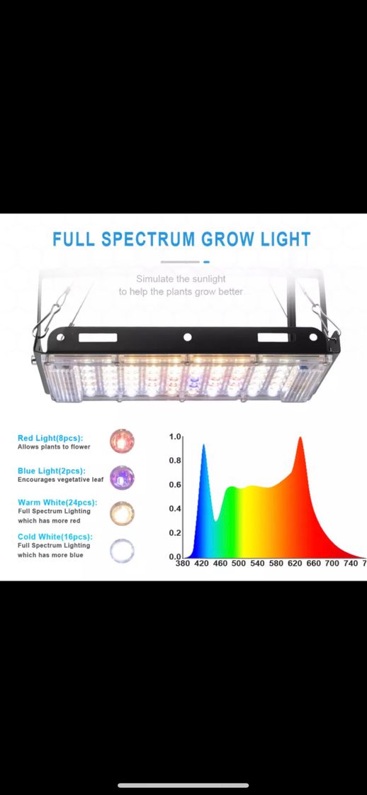 Fashion Luces de crecimiento