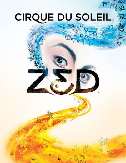 Zed - Cirque du Soleil