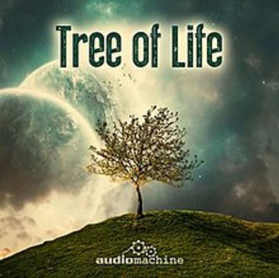 Moda Audiomachine - Tree of life