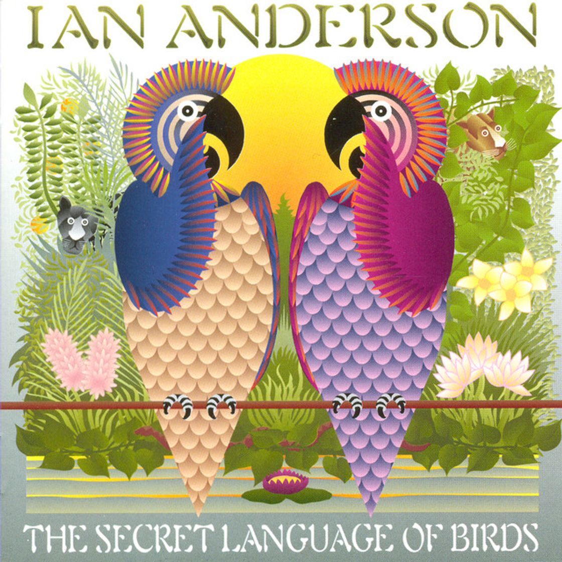 Canciones The Secret Language Of Birds