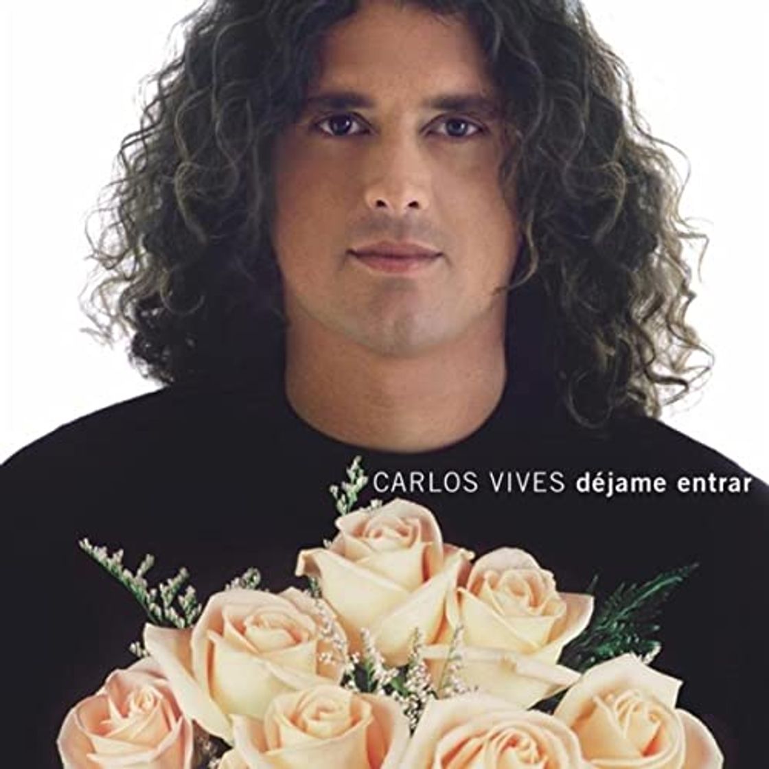 Fashion Carlos vives - Décimas