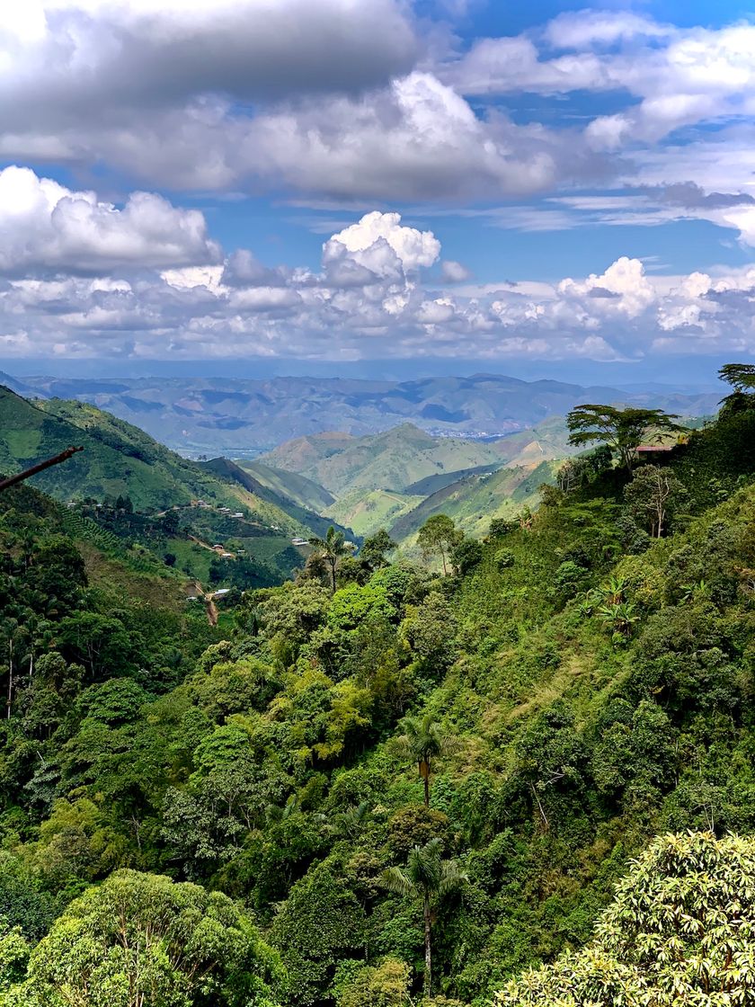 Place Huila