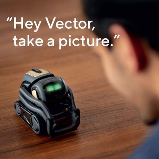 A Home Robot Who Hangs Out & Helps Out, Vector Robot by Anki