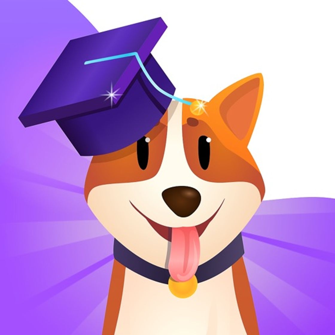 App eTrainDog:Walkers & Trainings