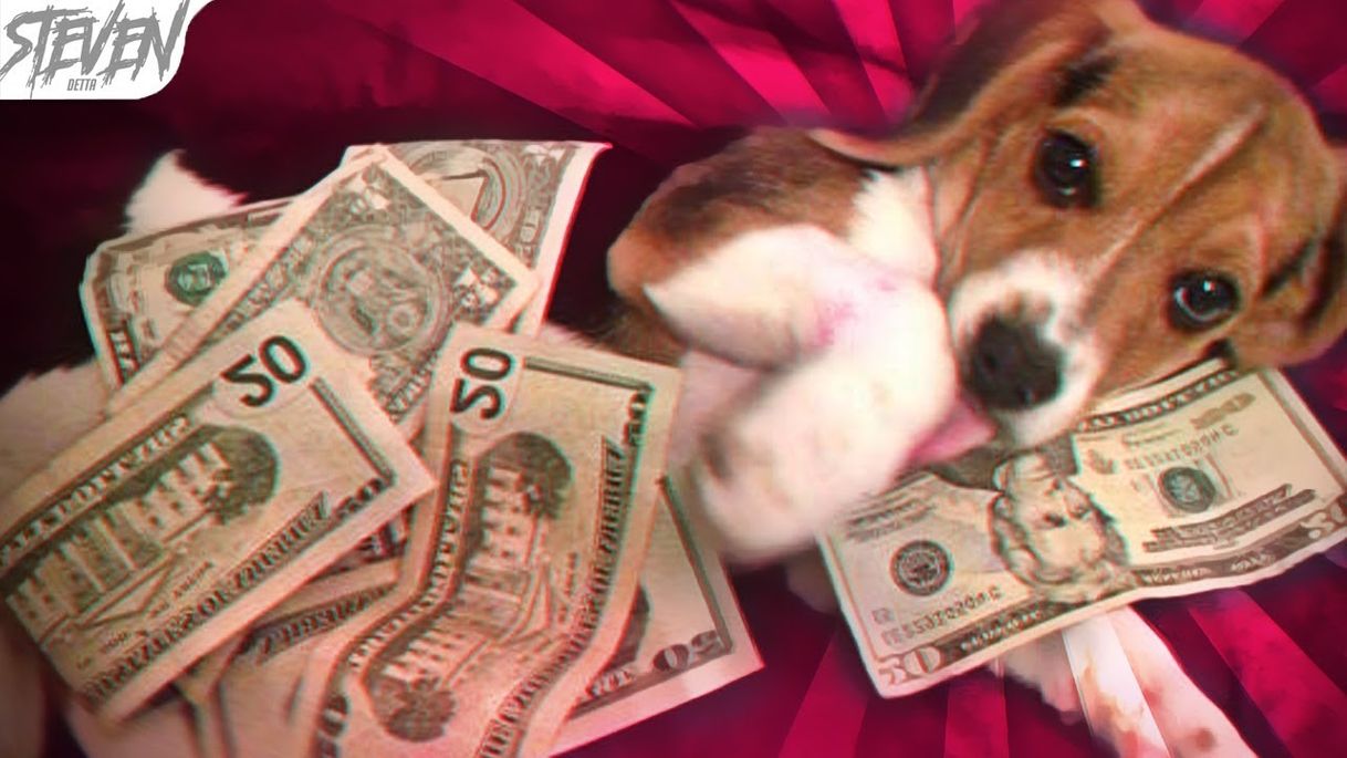 Social Perros millonario.