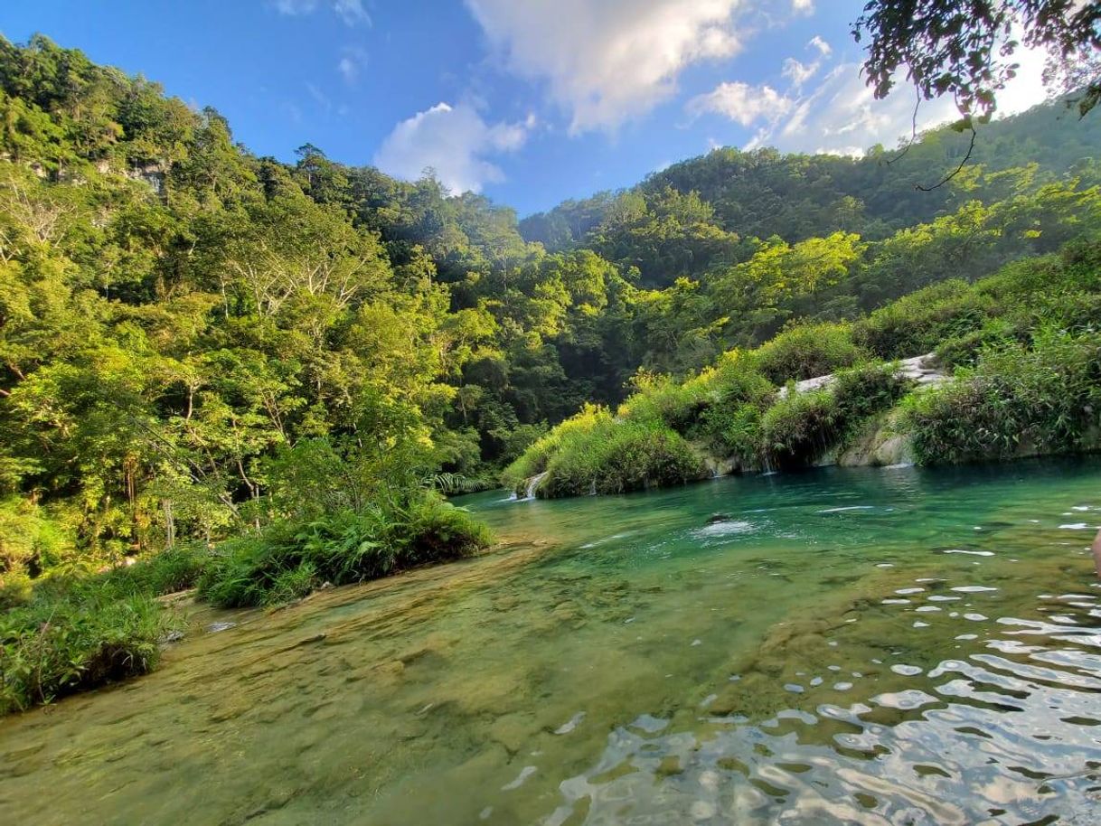 Lugar Semuc Champey