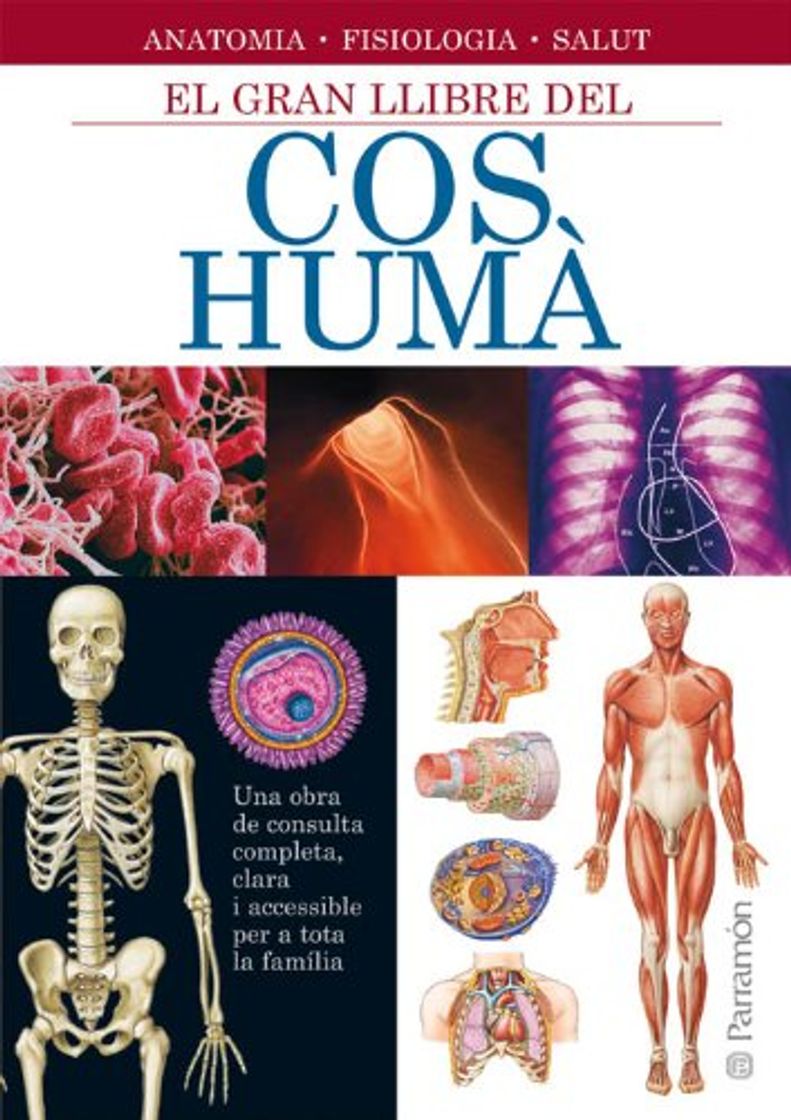 Libro El gran llibre del cos humà