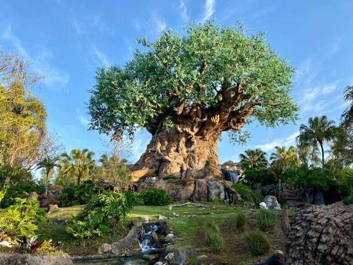 Place Disney's Animal Kingdom Theme Park | Walt Disney World Resort