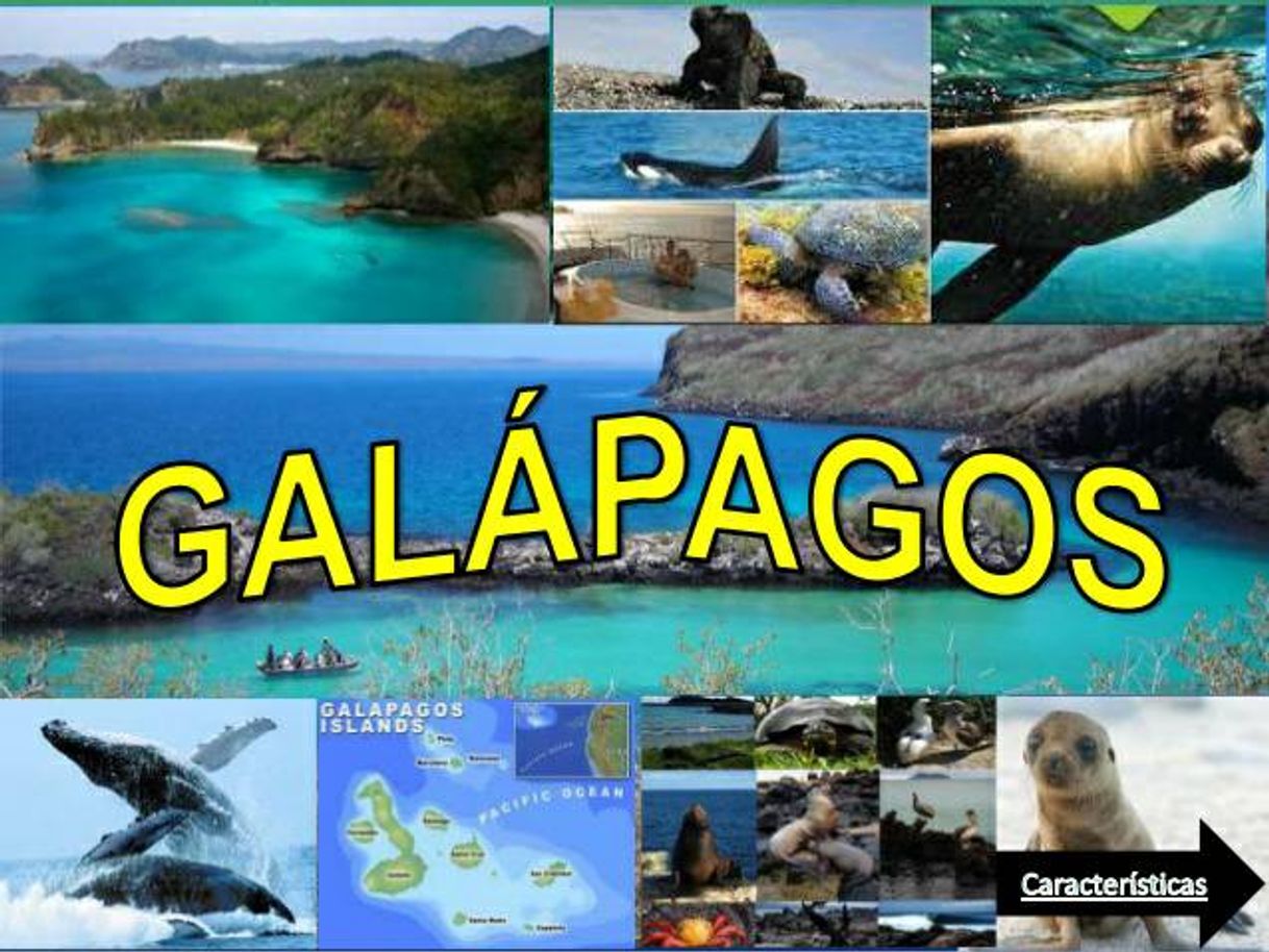 Place Islas Galápagos