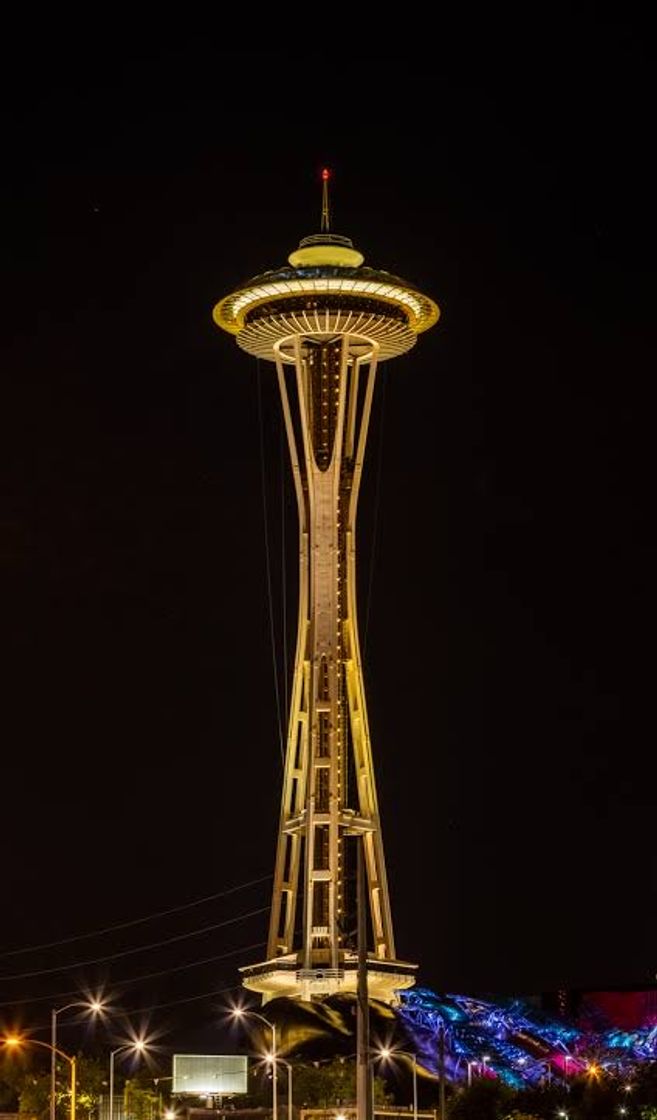 Place Space Needle