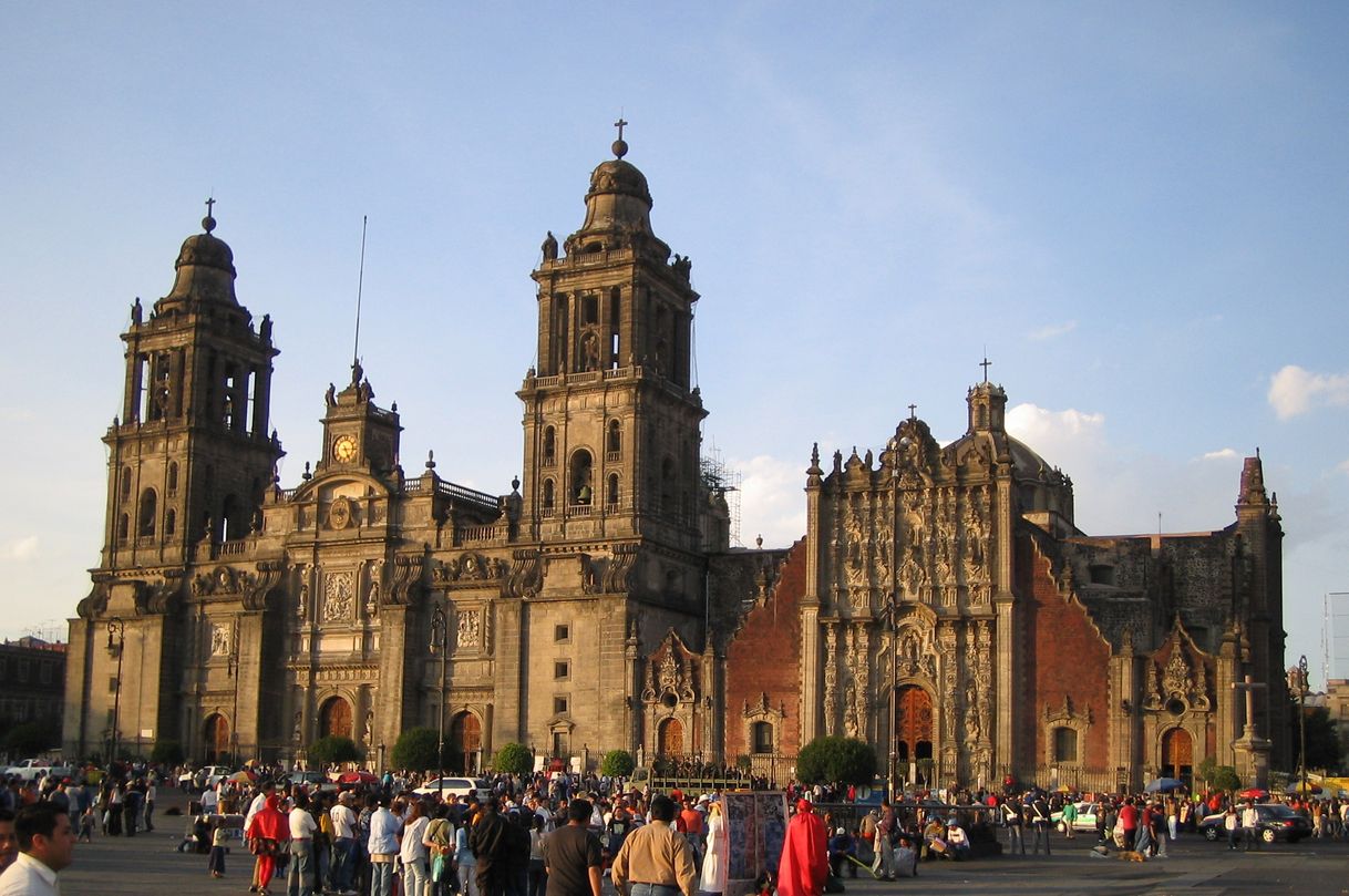 Place Catedral Metropolitana de la Asunción de María