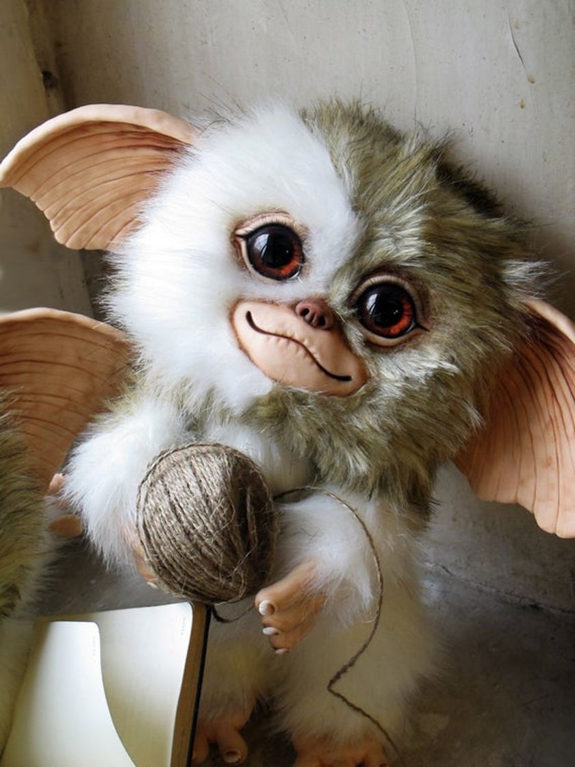 Fashion Mogwai Gizmo