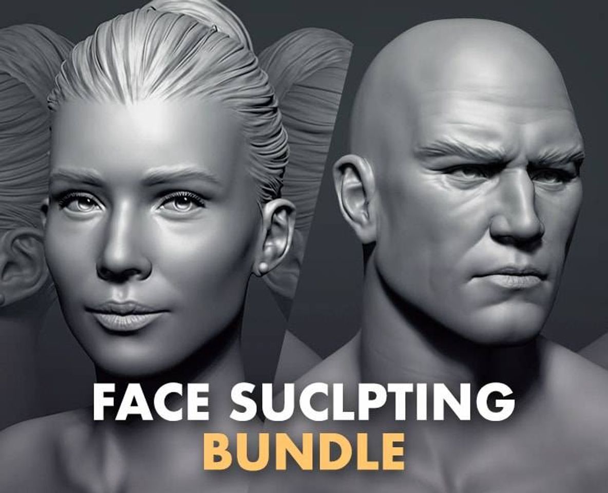 Fashion Face Sculpting Bundle