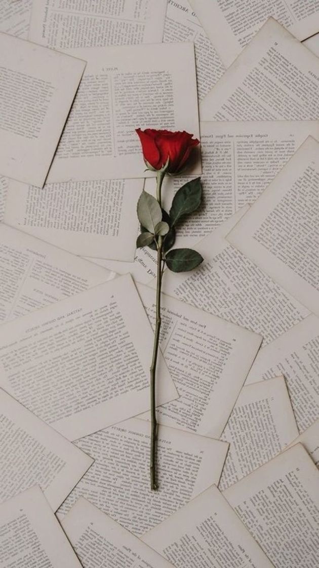 Moda Wallpaper rosa 📖🌹