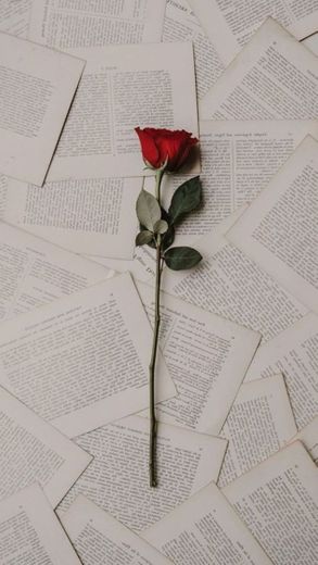 Wallpaper rosa 📖🌹