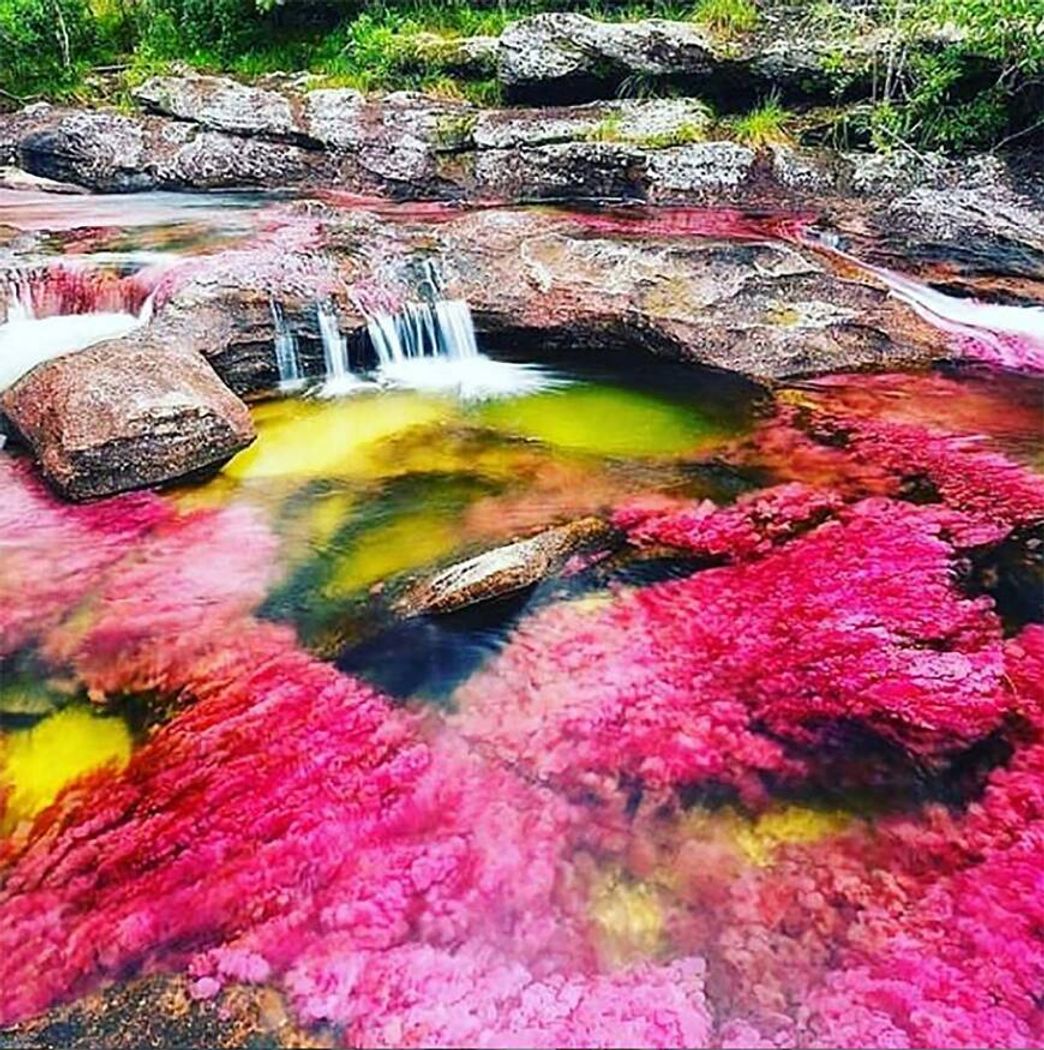 Lugar Caño Cristales