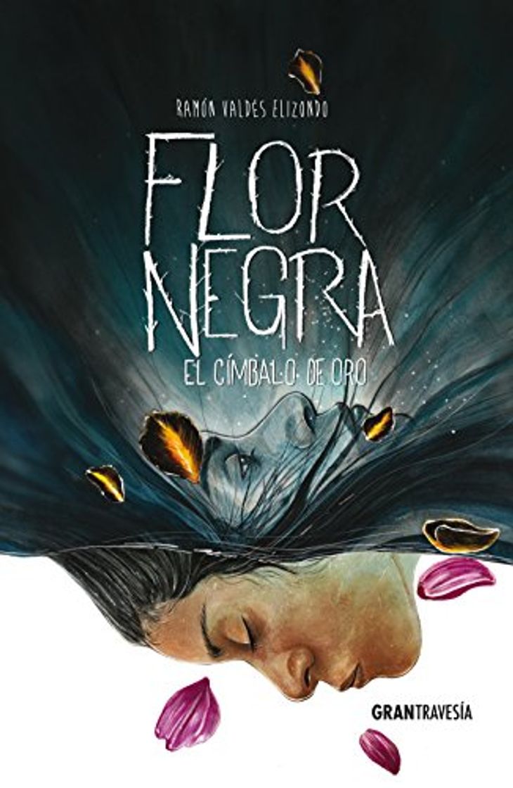 Libro Flor Negra: El Címbalo de Oro