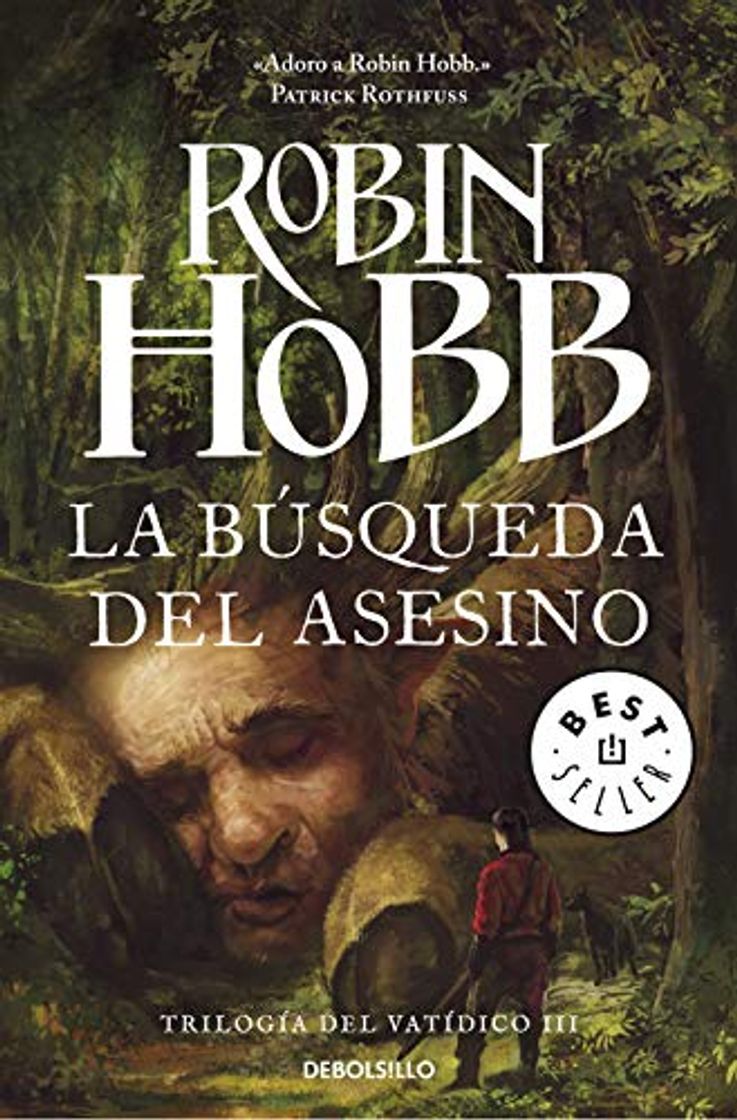 Libro La búsqueda del asesino