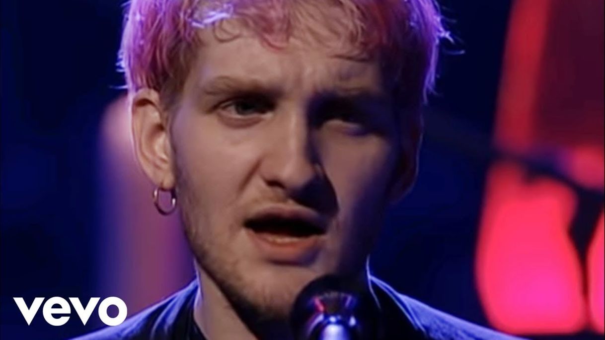 Social LANEY STALEY ROOSTER 