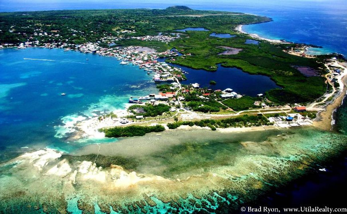 Lugar Utila