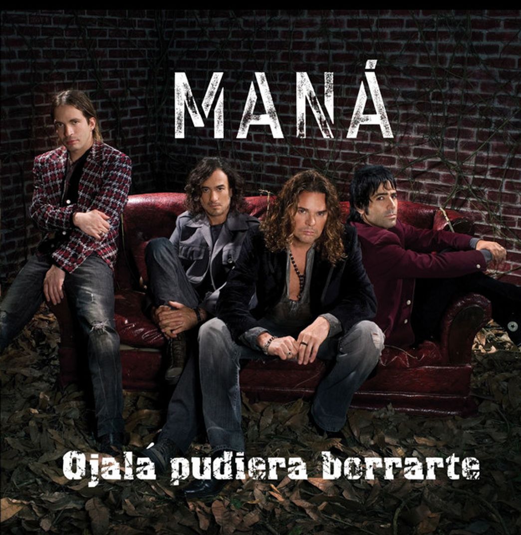Canción Ojalá Pudiera Borrarte