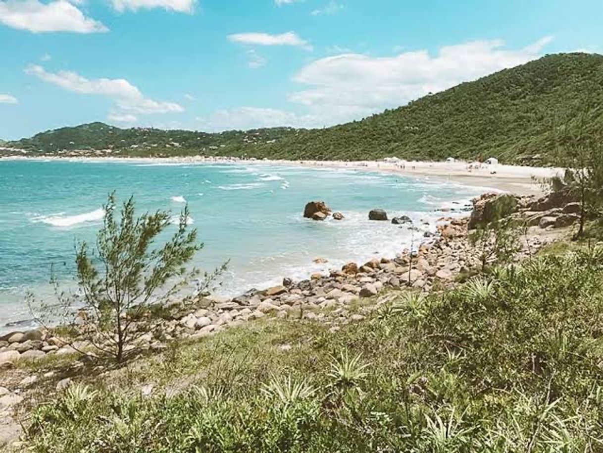 Lugar Praia do Rosa - Rosa Norte