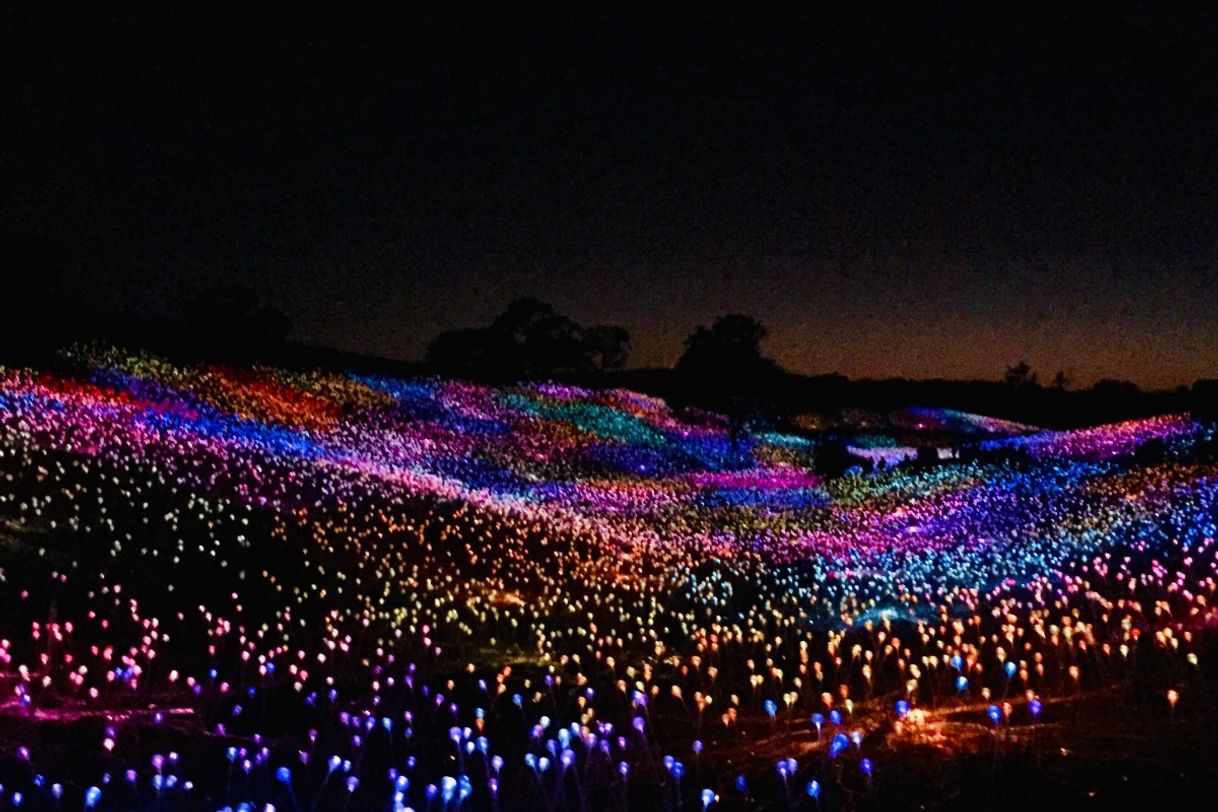 Place Field of Light