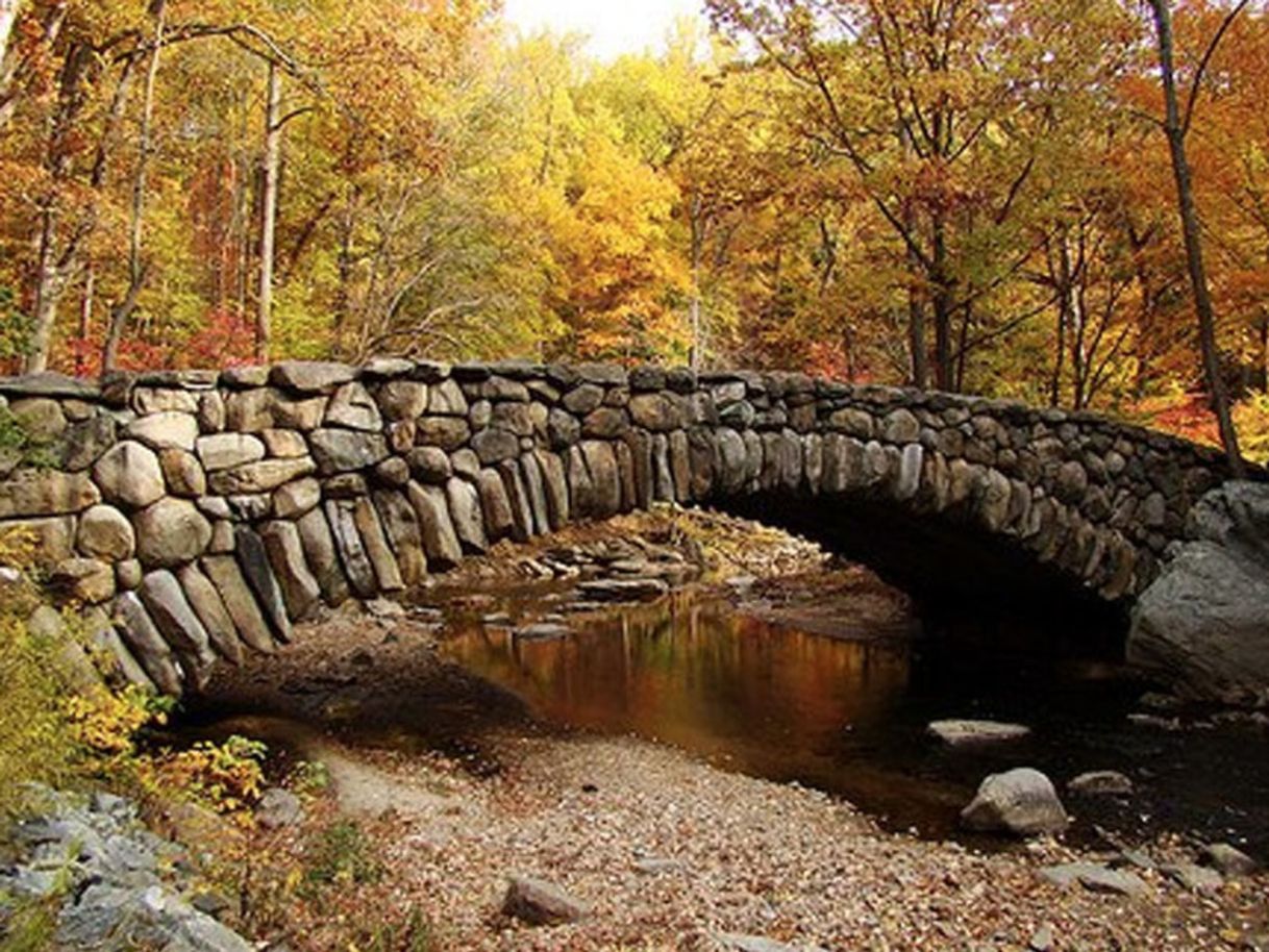 Lugares Rock Creek Park