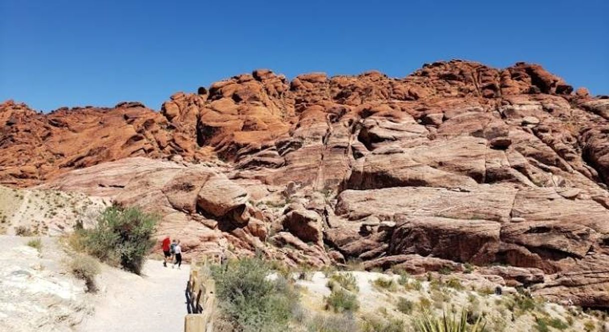 Place Área de conservación nacional Red Rock Canyon