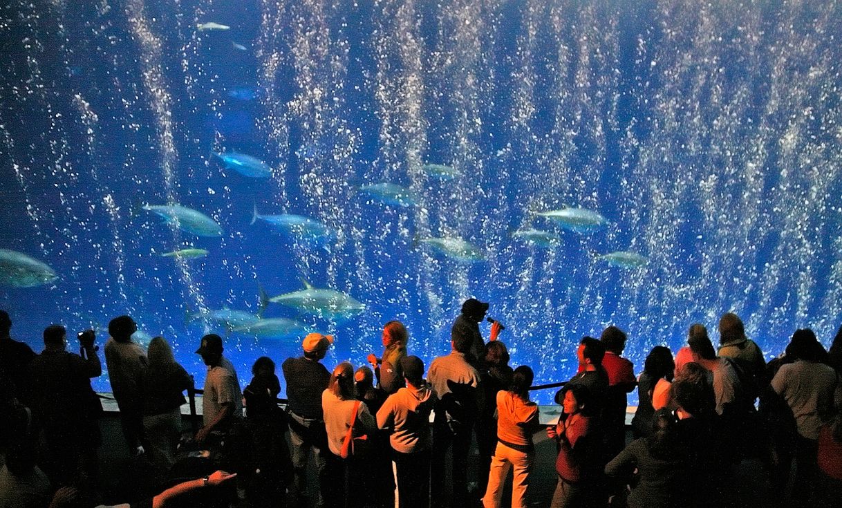 Place Monterey Bay Aquarium