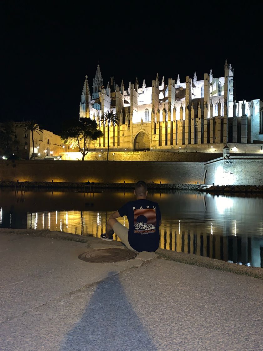 Lugar Catedral-Basílica de Santa María de Mallorca