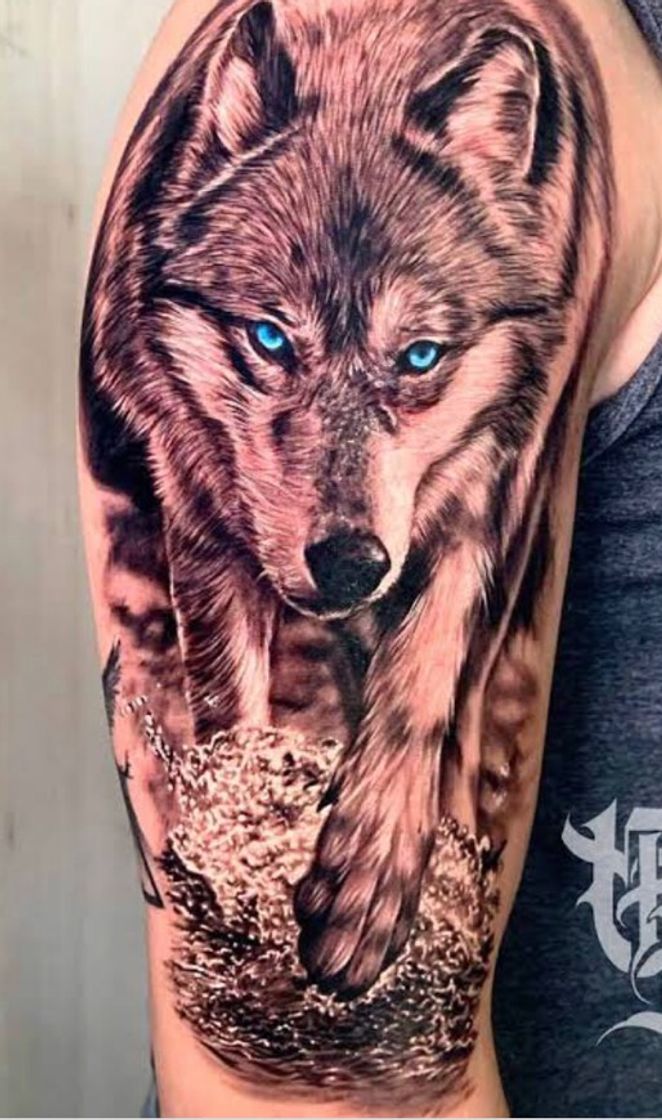 Fashion Tatuagem lobo 