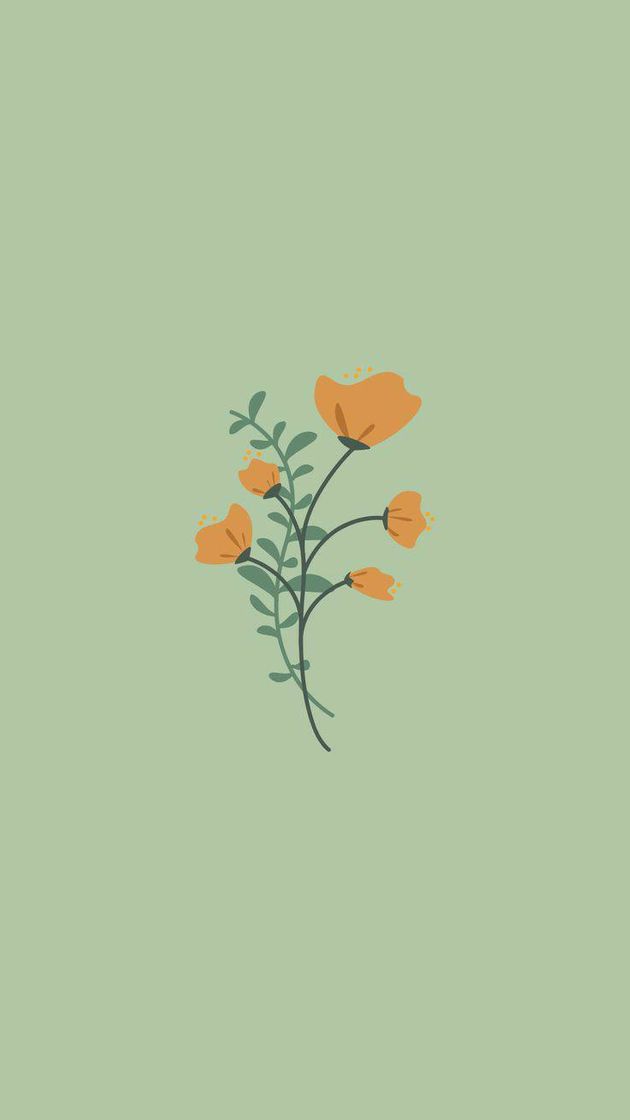 Social 𝑾𝒂𝒍𝒍𝒑𝒂𝒑𝒂𝒆𝒓🍁