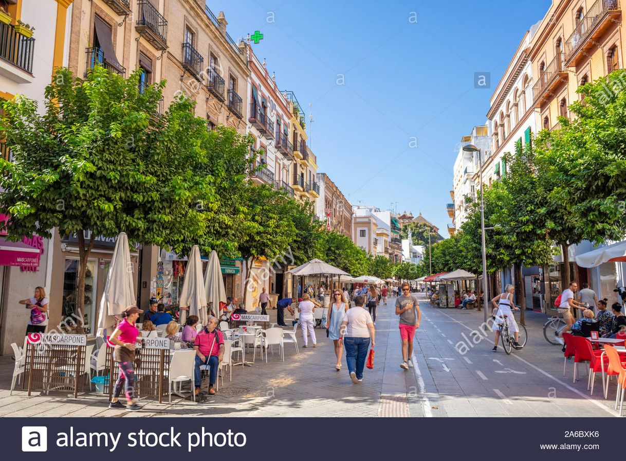 Place Calle San Jacinto