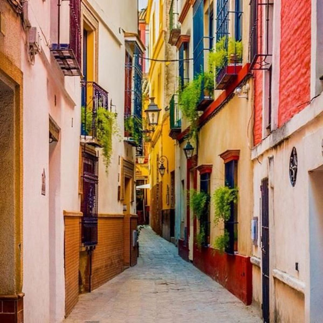 Place Barrio de Santa Cruz