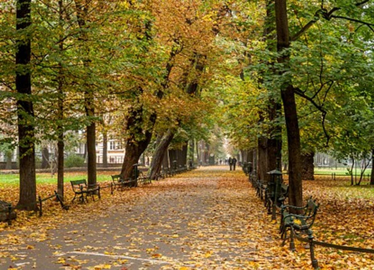 Place Planty krakowskie