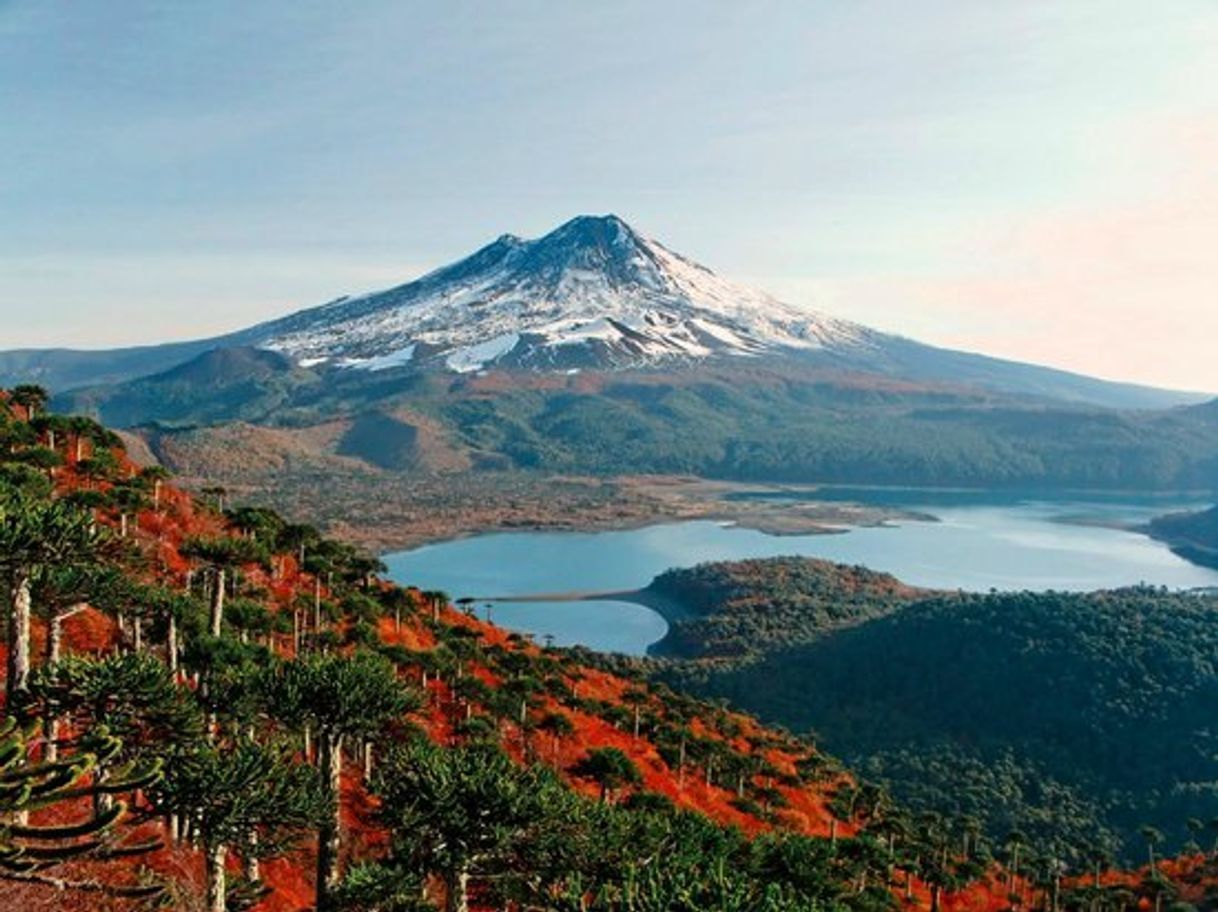 Place Parque Nacional Conguillio