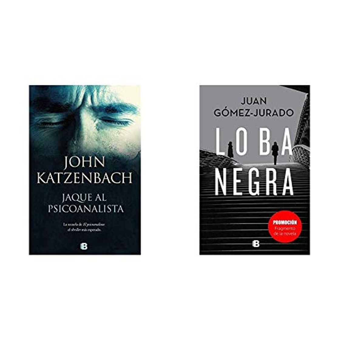 Libros Jaque al psicoanalista (La Trama)+Promoción fragmento de la novela Loba Negra (No venal)