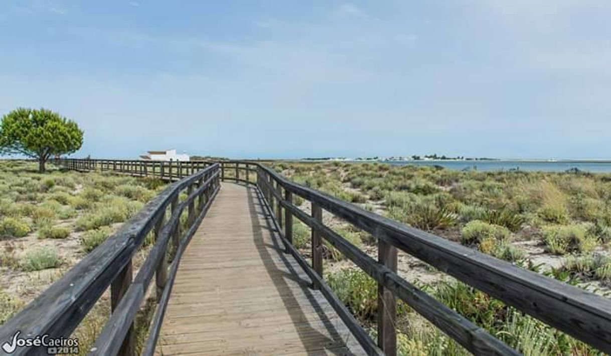 Lugar Ria Formosa Natural Park