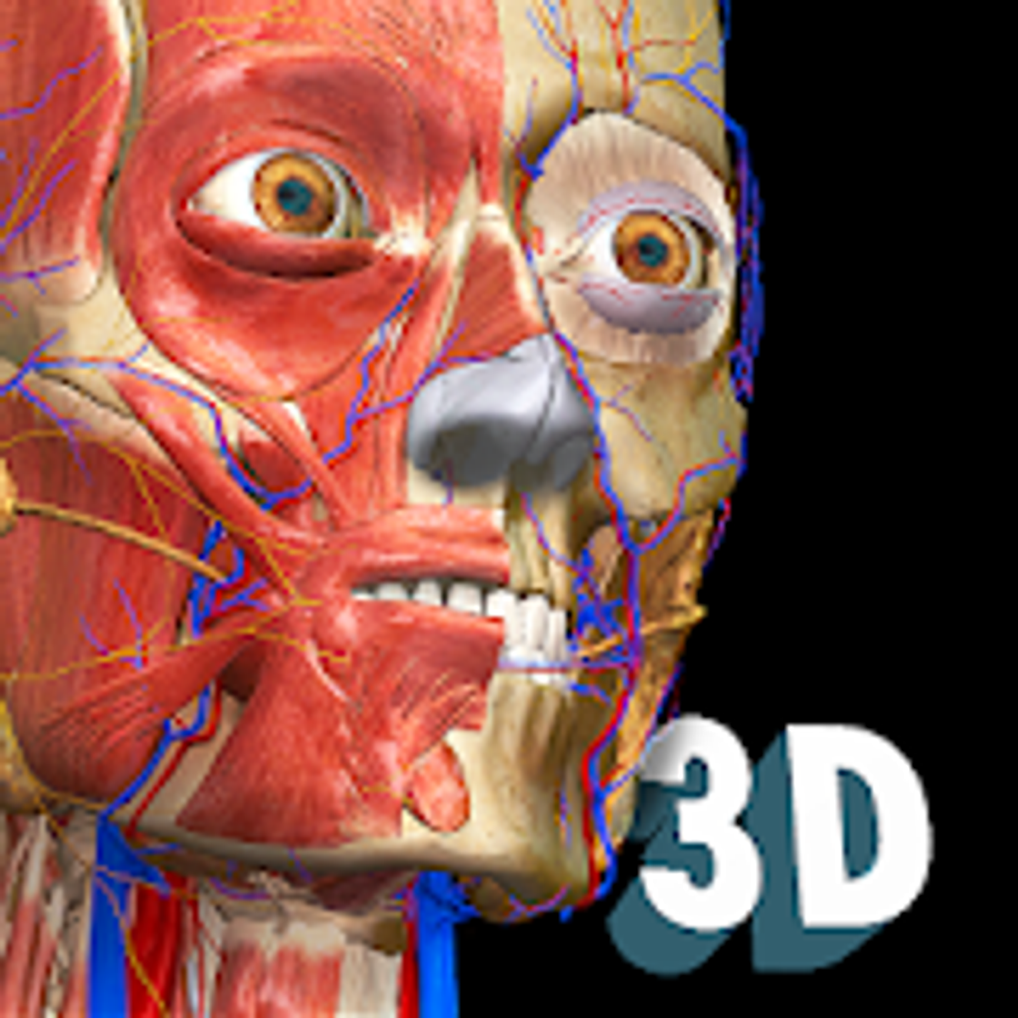 App AnatomyLearning – 3D Anatomy Atlas. Explore Human Body in Real ...