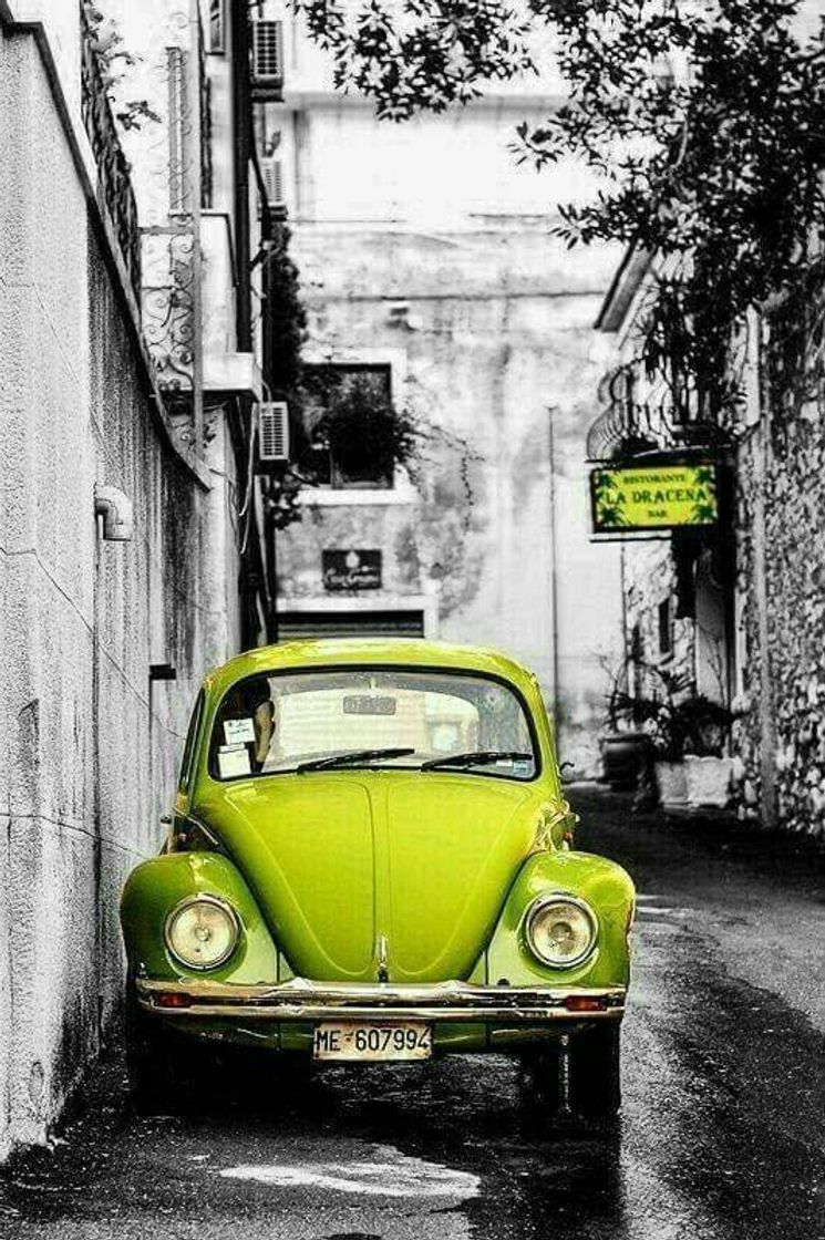 Fashion Fusca♥️