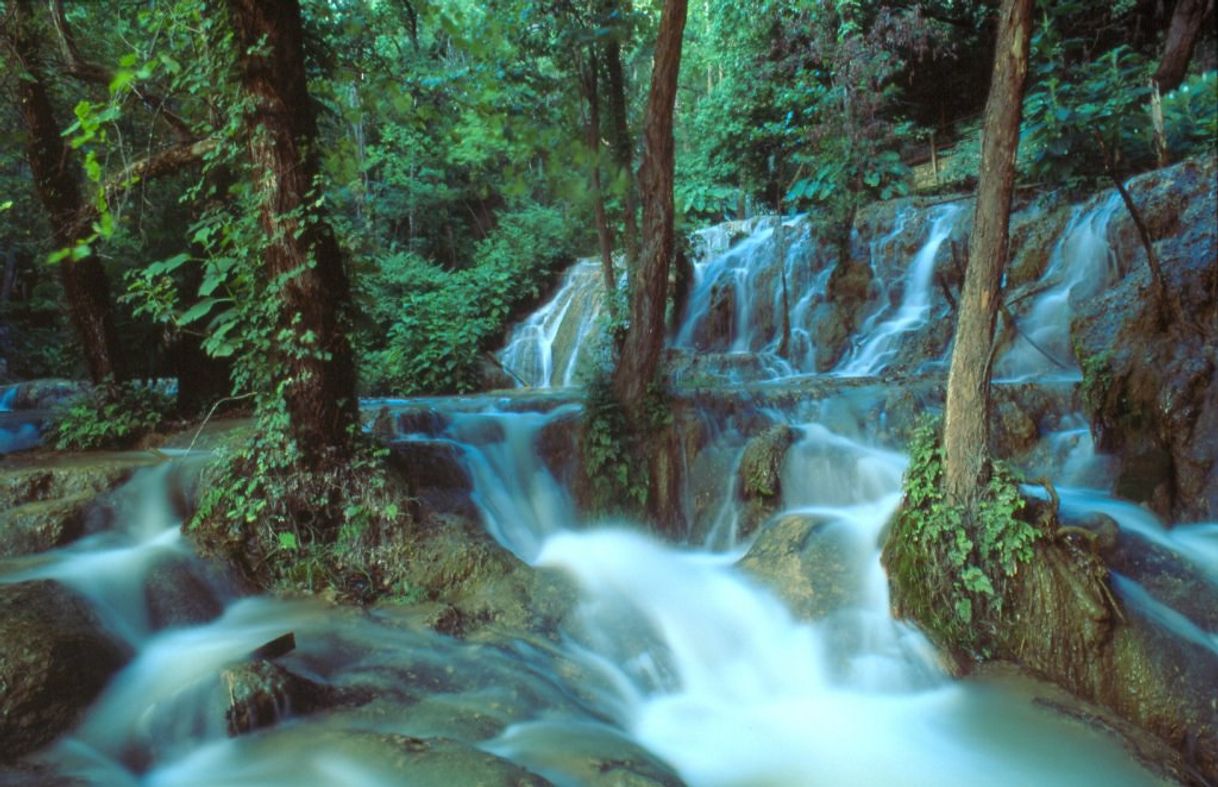 Lugar El Salto