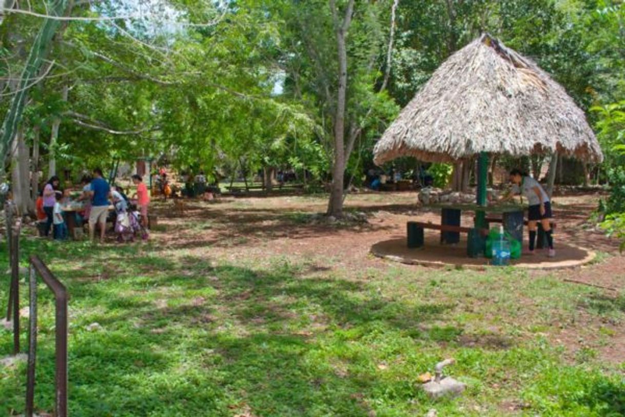 Lugar Cuxtal Ecological Reserve