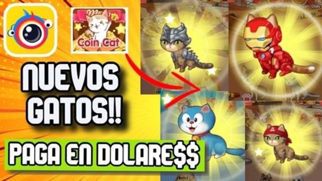 Fashion Clipclaps🔥Nuevos GATOS Coint cat🐱 | Nueva Actualización | 