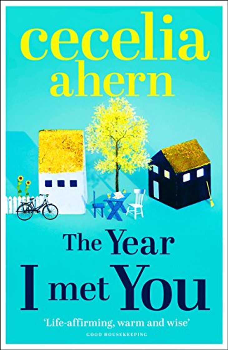 Libro The Year I Met You